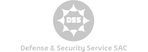 DSS Web and Graphic Design